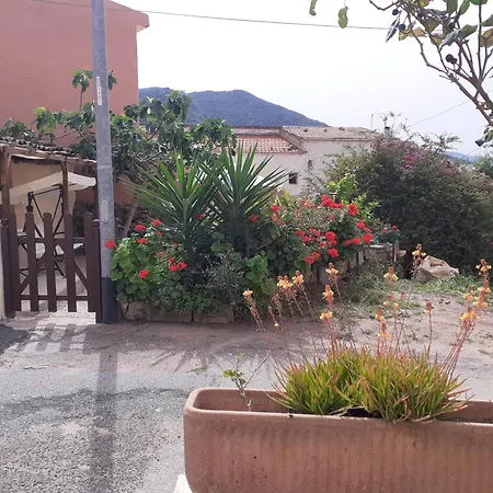 Apartment A Casa Di Zia - Lmvacanza